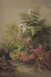 Fiori accanto a un ruscello